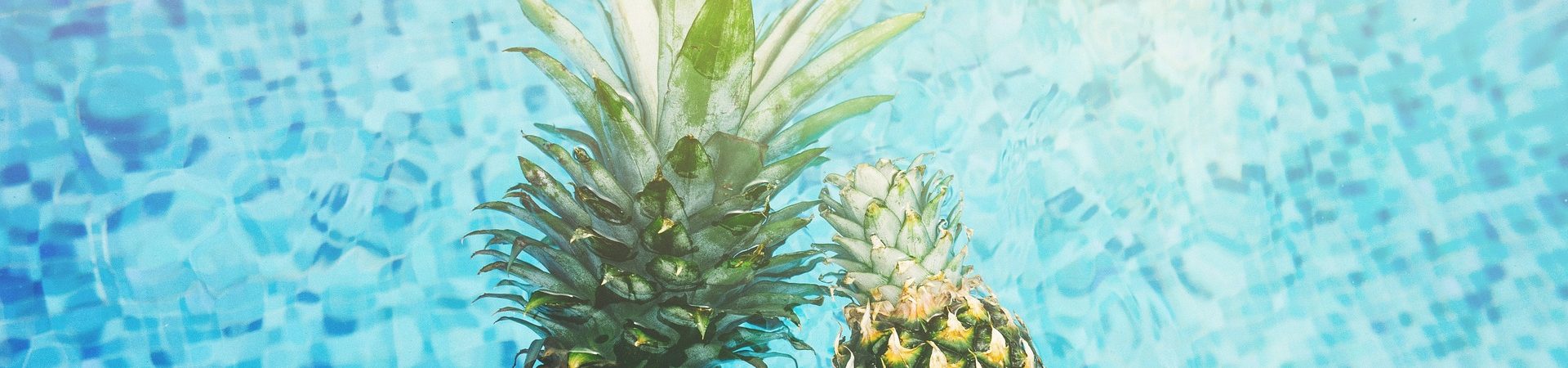 The Pineapple and its Magnificent Journey
